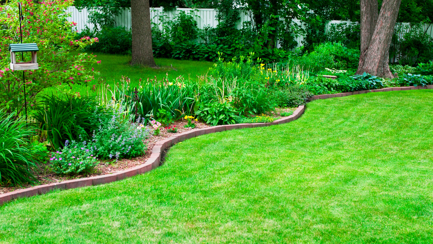 A lush green yard with a bench in the middle